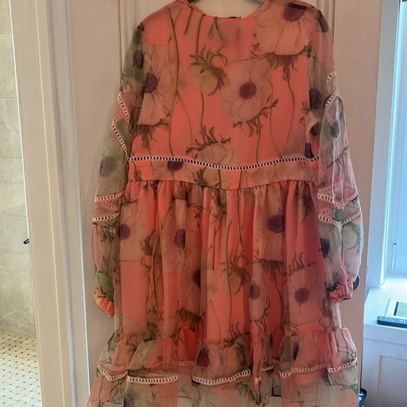 Cynthia Rowley Poppy Organza Peach Dress - Picture 3 of 8
